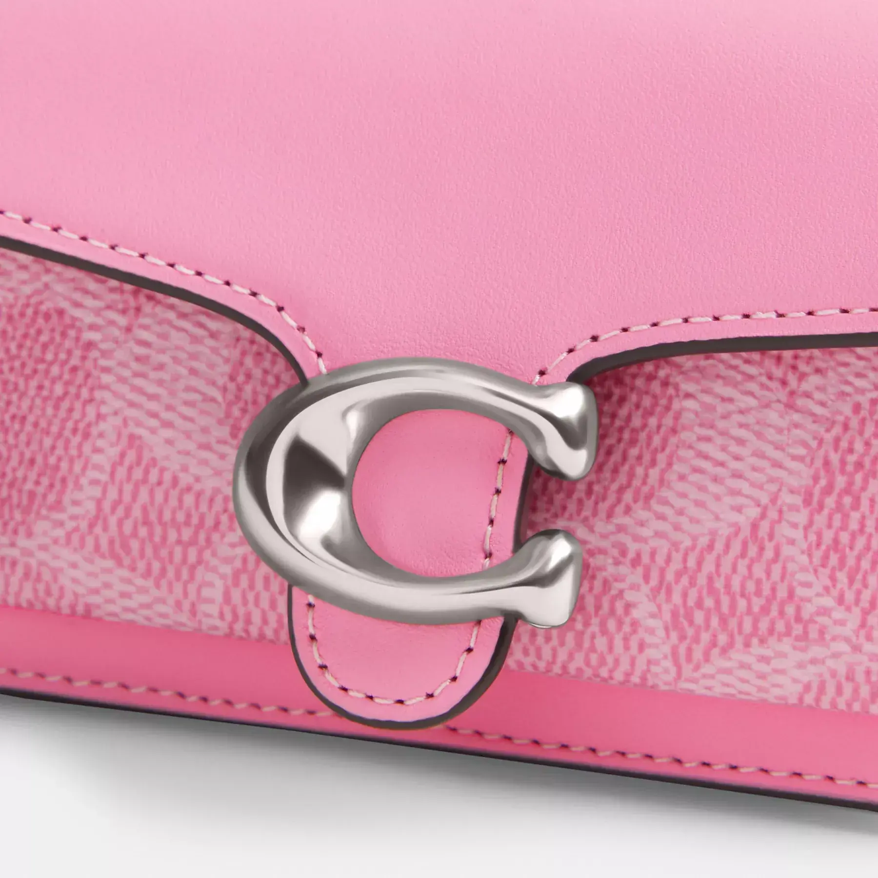 Tabby 12 In Signature Canvas Tabby 12 In Signature Canvas