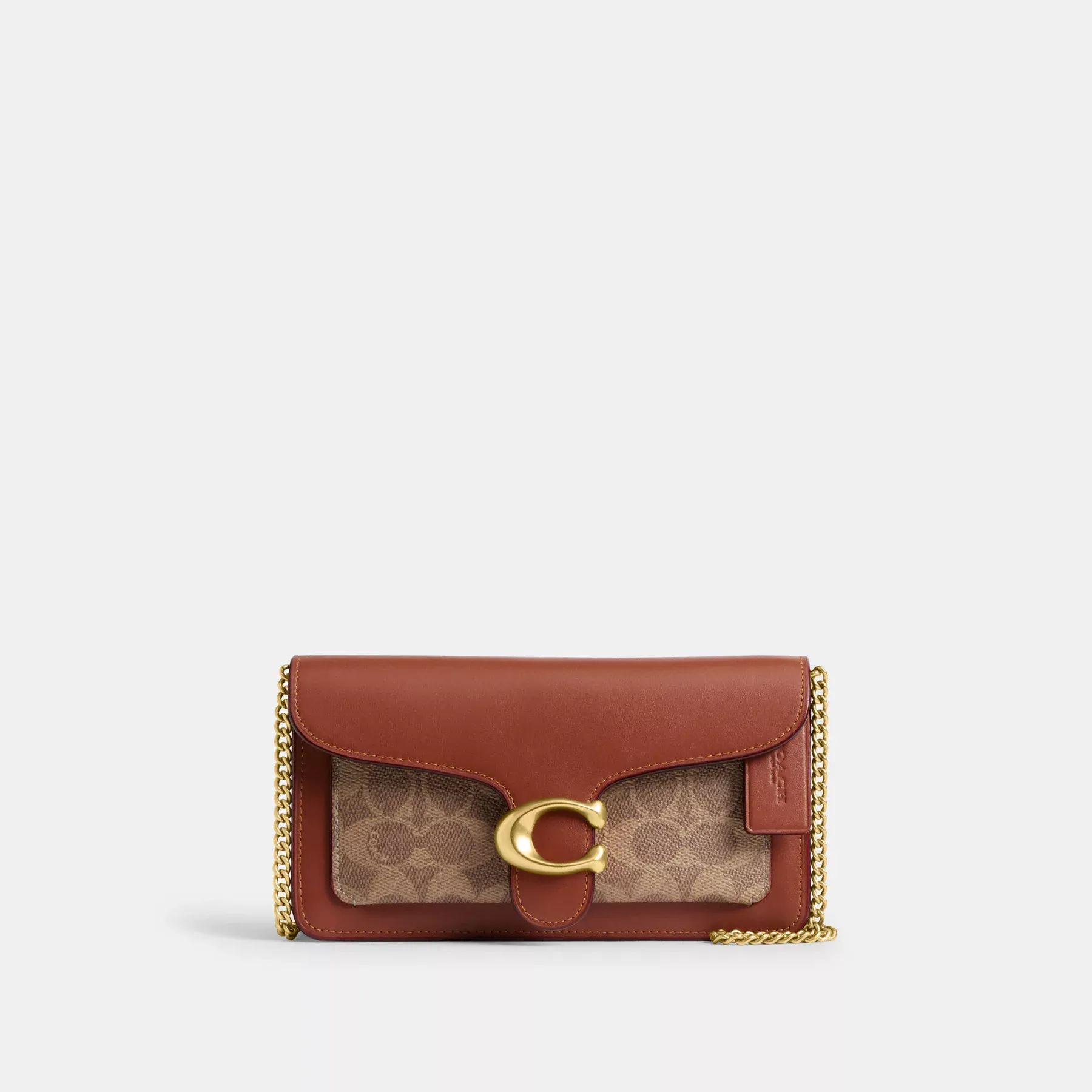 Tabby Chain Clutch In Signature Canvas