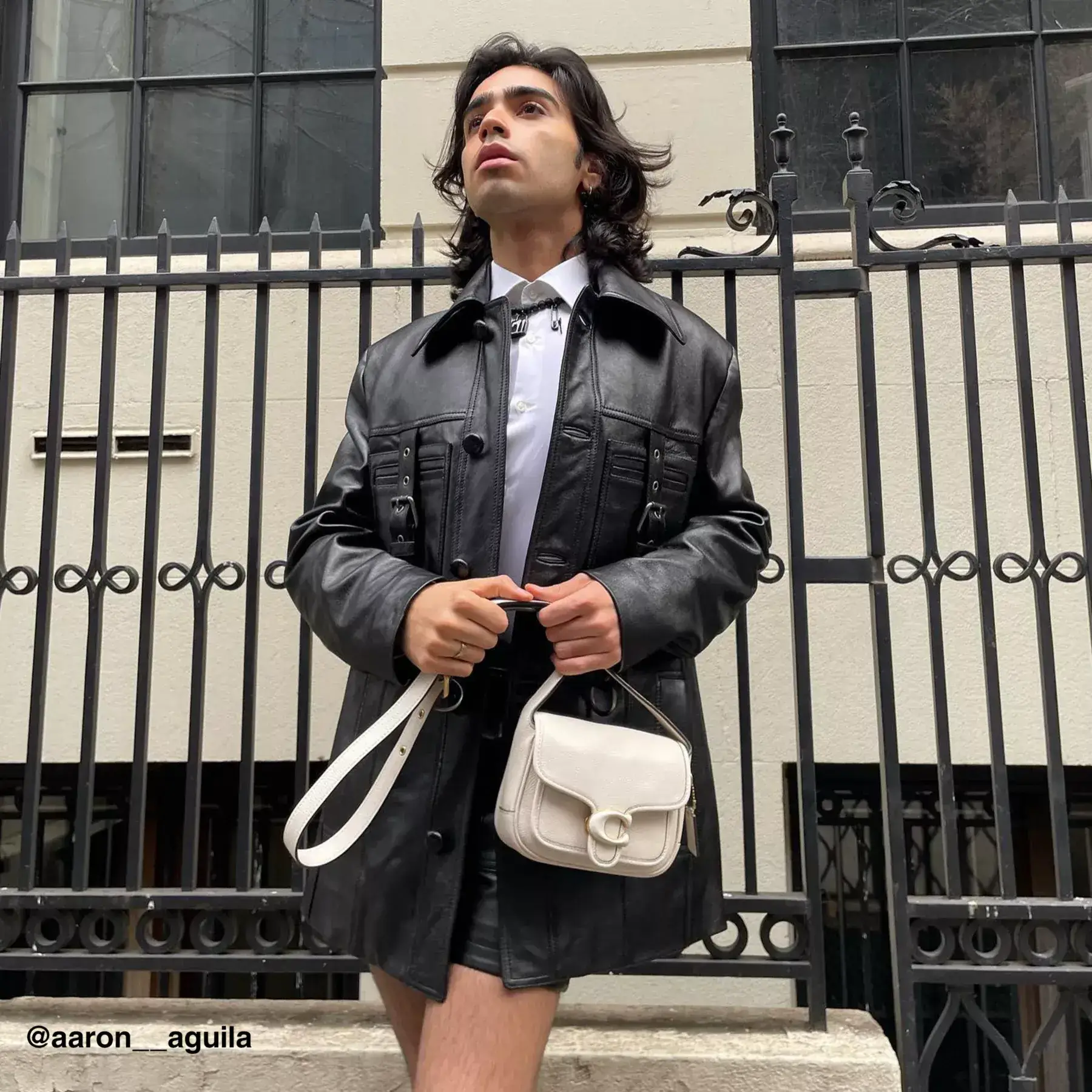 Tabby Messenger 19 Tabby Messenger 19