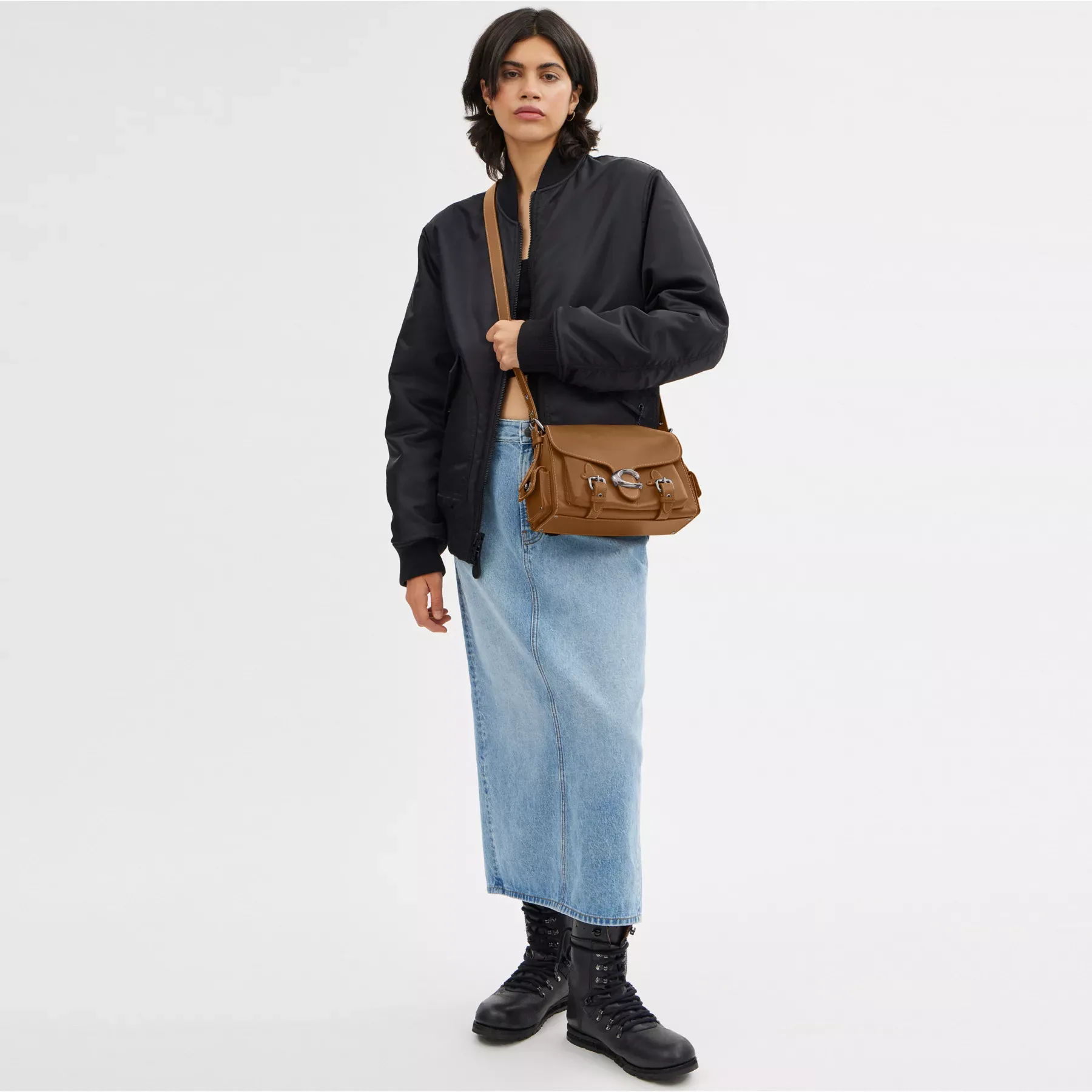 Western Tabby Western Tabby