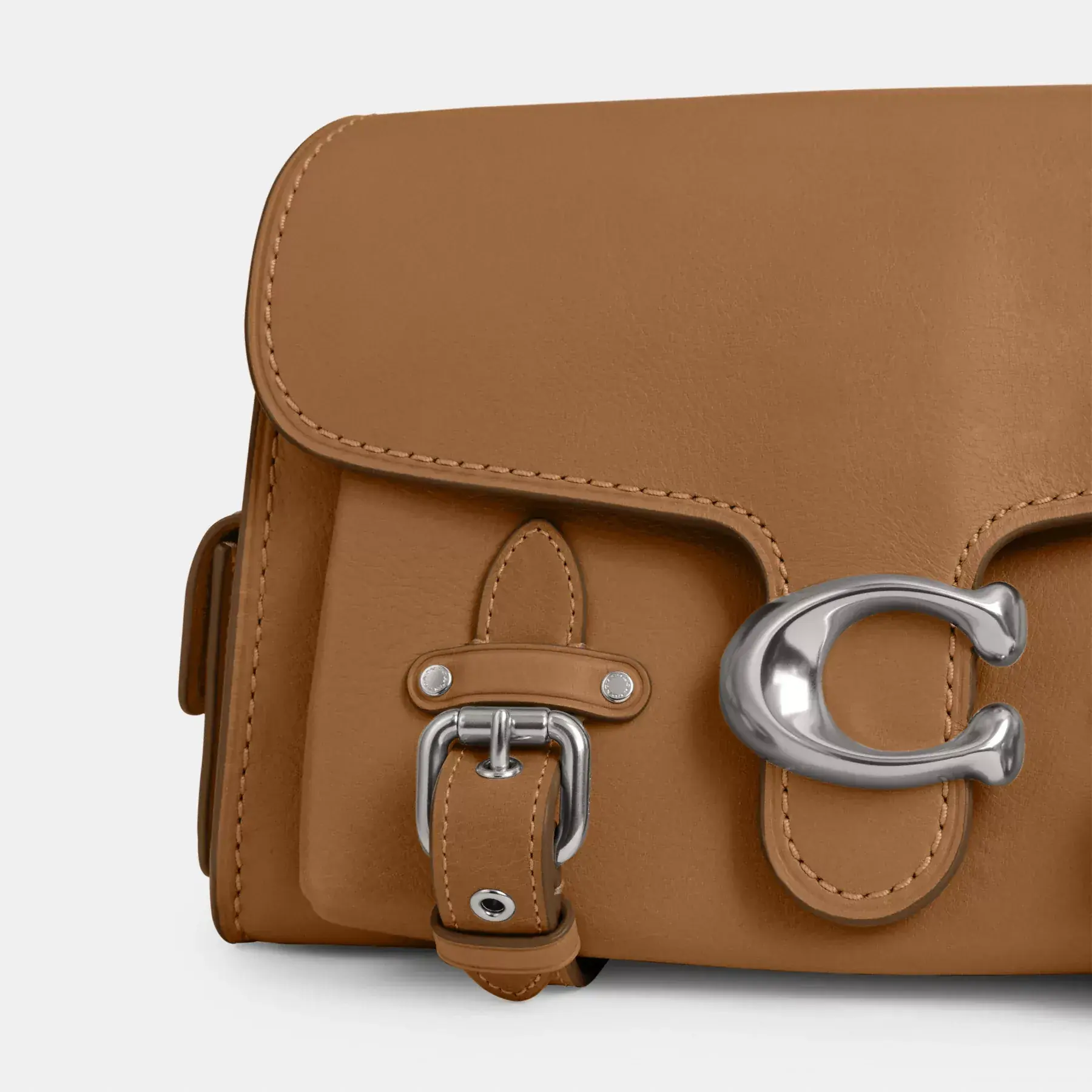 Western Tabby Western Tabby