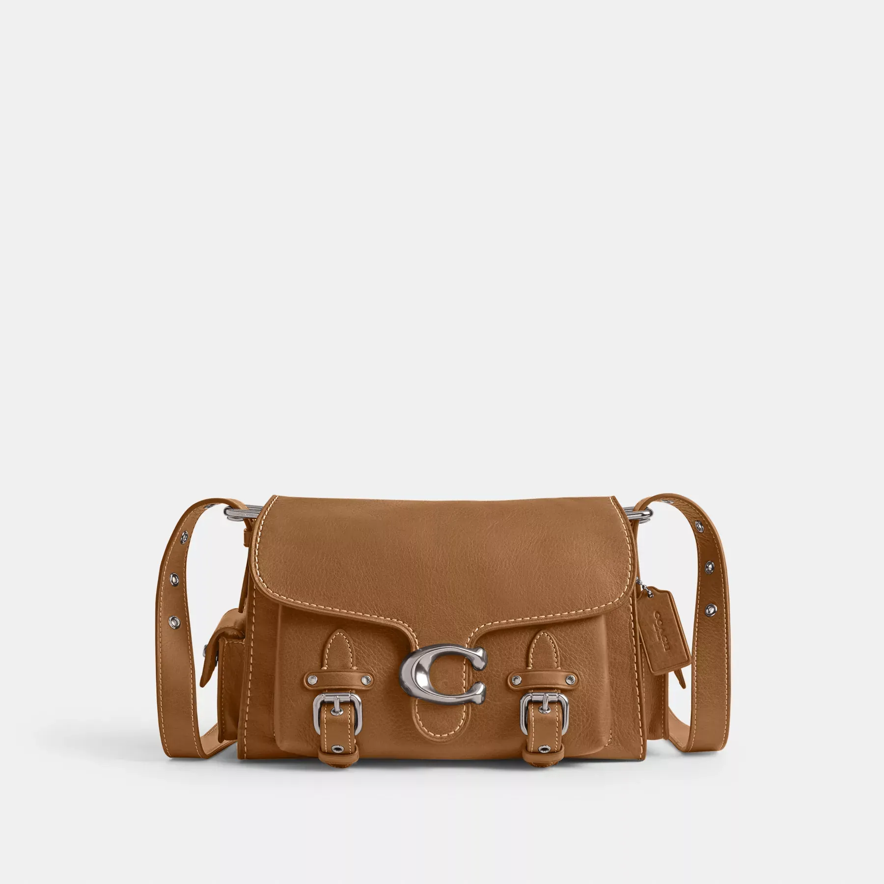 Western Tabby Western Tabby